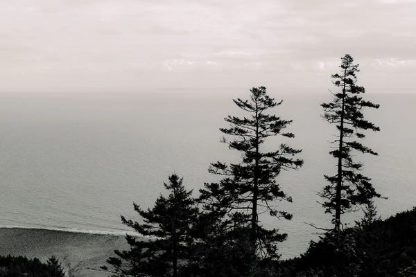 Olivia Joy StClaire: Overlook 12 I by Olivia Joy StClaire