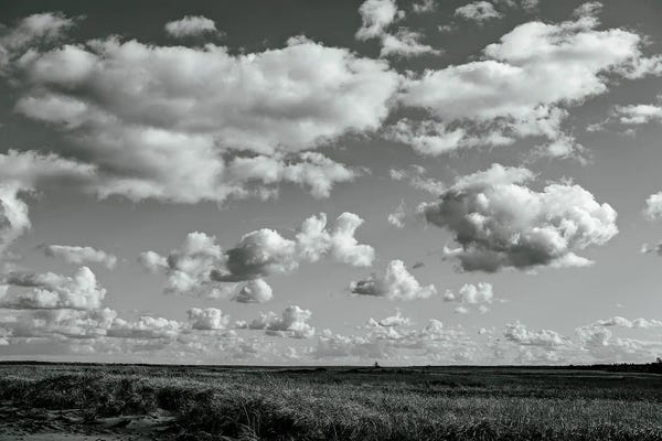 Olivia Joy StClaire: Summer Cloudscape by Olivia Joy StClaire