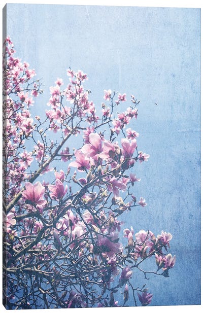 She Bloomed Everywhere She Went Canvas Art Print - Cherry Blossom Art