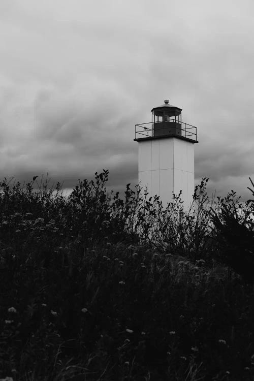 Maritime Lighthouse In Black And White by Olivia Joy StClaire wall art