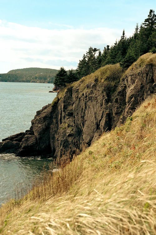 Coastal Cliffs by Olivia Joy StClaire wall art