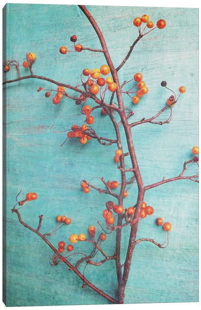 She Hung Her Dreams On Branches Canvas Art Print - Berry Art
