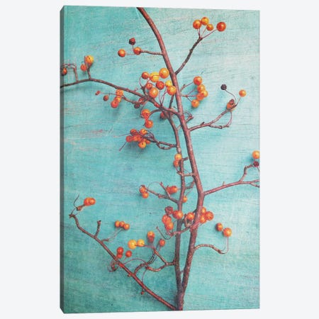 She Hung Her Dreams On Branches Canvas Print #OJS38} by Olivia Joy StClaire Canvas Artwork