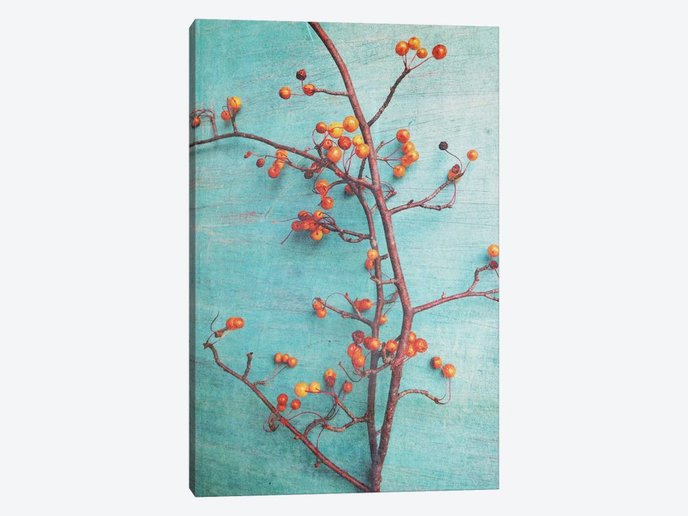 She Hung Her Dreams On Branches 1-piece Canvas Print