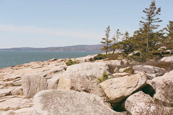 Maine: Coastal Landscape No. 330 by Olivia Joy StClaire