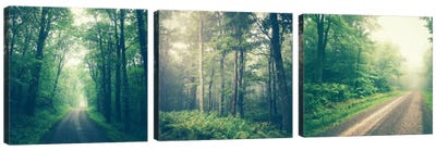 Forest Road Triptych Canvas Art Print - Mist & Fog Art