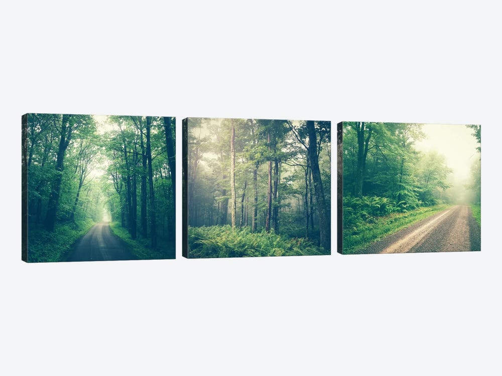 Forest Road Triptych 3-piece Canvas Print