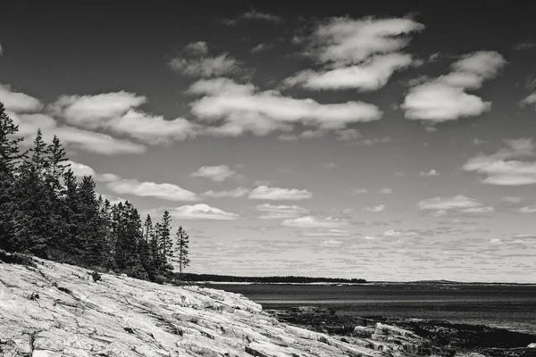 Maine: Black And White Landscape No. 76 by Olivia Joy StClaire