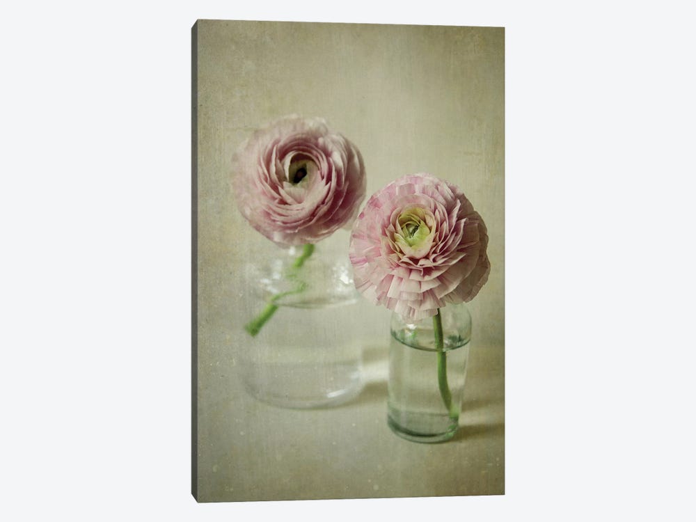 Spring Bloom by Olivia Joy StClaire 1-piece Canvas Wall Art
