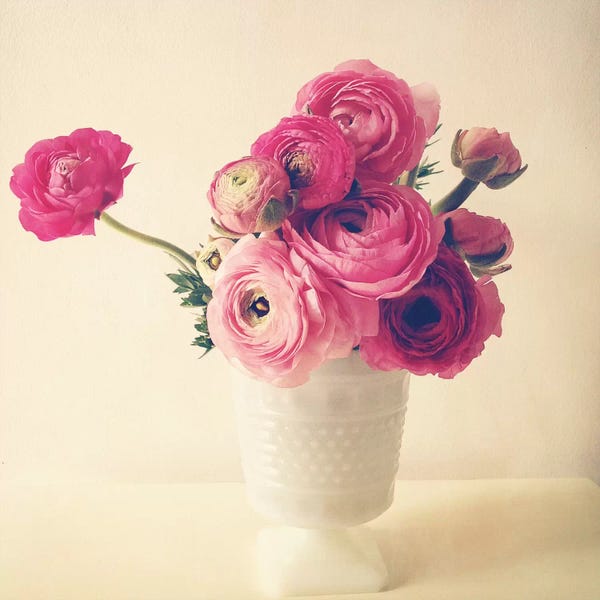 Ranunculi: Spring Bouquet I by Olivia Joy StClaire