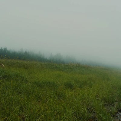 Beach Dunes Photograph by Olivia Joy StClaire framed wall art