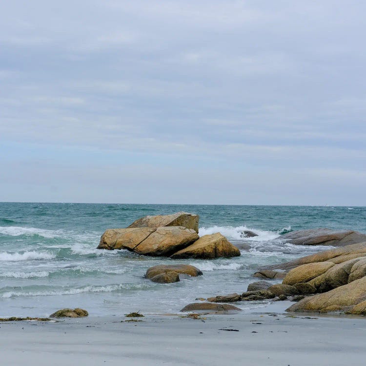 Coastal Landscape No. 22 by Olivia Joy StClaire wall art