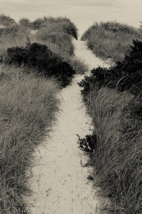Over The Dunes To The Beach