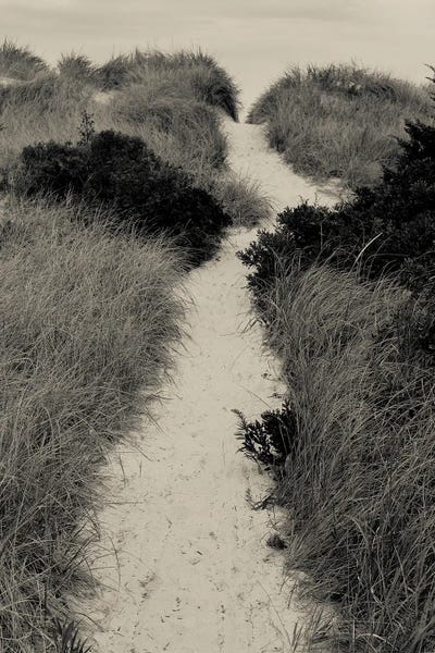 Over The Dunes To The Beach