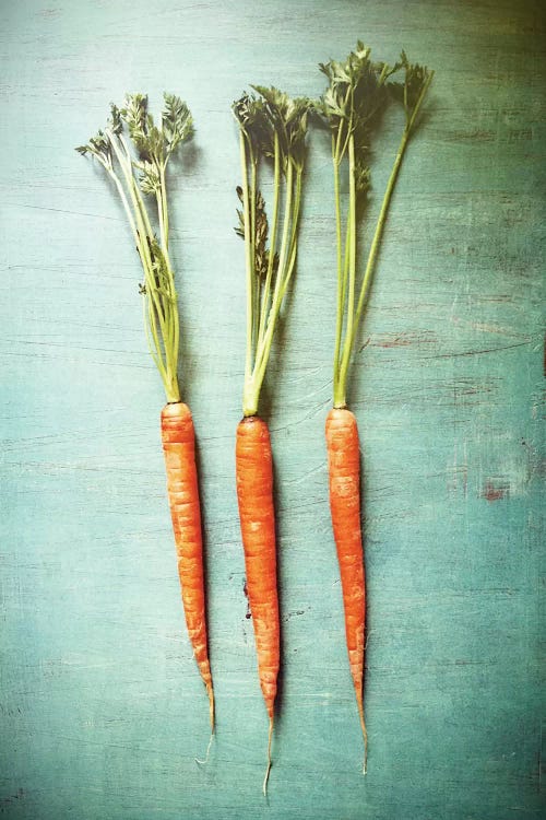 Three Carrots by Olivia Joy StClaire wall art