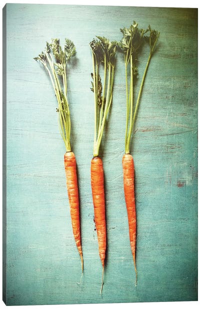 Three Carrots Canvas Art Print - Farmhouse Kitchen Art
