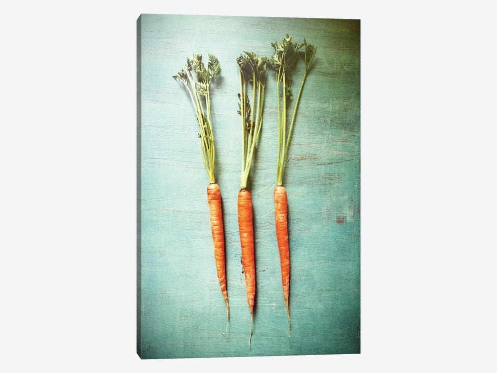 Three Carrots by Olivia Joy StClaire 1-piece Canvas Art Print