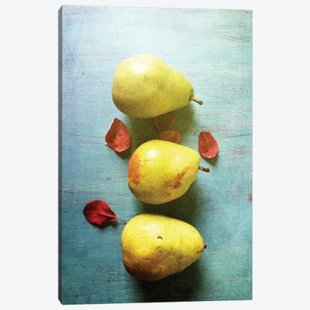 Three Pears Canvas Print #OJS44} by Olivia Joy StClaire Canvas Wall Art