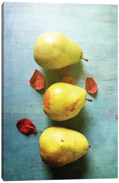Three Pears Canvas Art Print - Food & Drink Still Life