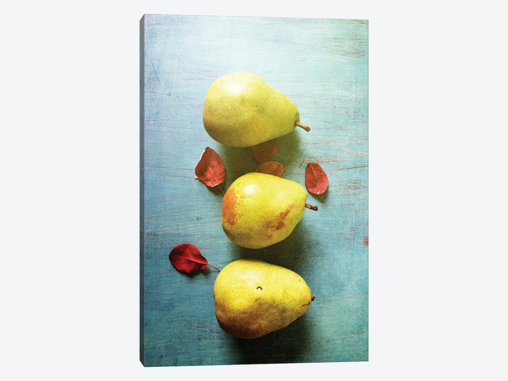 Three Pears by Olivia Joy StClaire 1-piece Canvas Wall Art