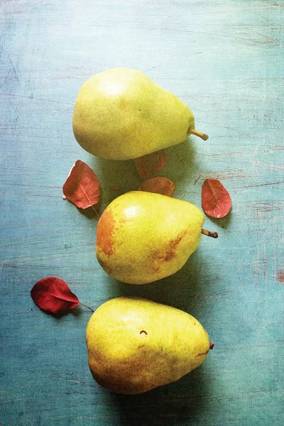 Still Life Photography: Three Pears by Olivia Joy StClaire