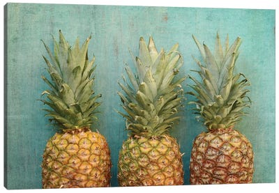 Tropical Canvas Art Print - Pineapple Art