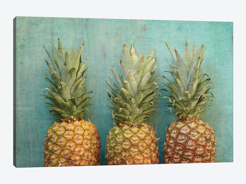 Tropical by Olivia Joy StClaire 1-piece Canvas Wall Art