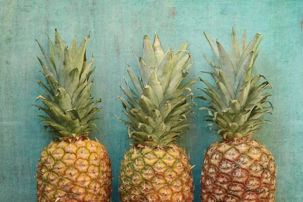 Still Life Photography: Tropical by Olivia Joy StClaire