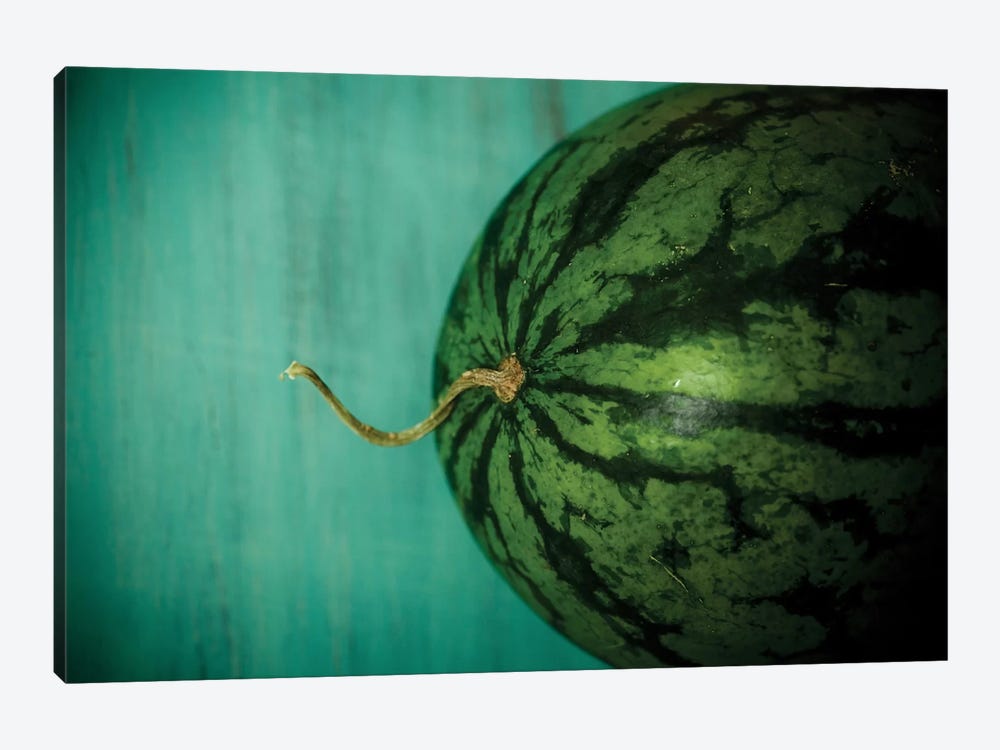 Watermelon by Olivia Joy StClaire 1-piece Canvas Art Print