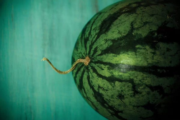 Still Life Photography: Watermelon by Olivia Joy StClaire