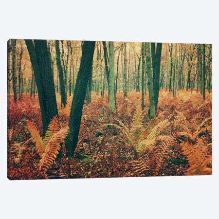 Autumn Woodland Canvas Print #OJS50} by Olivia Joy StClaire Canvas Wall Art