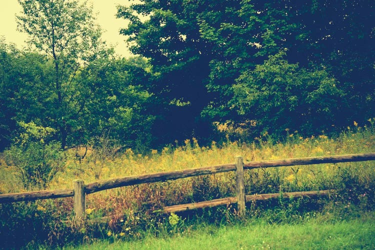 Boundary Line by Olivia Joy StClaire wall art