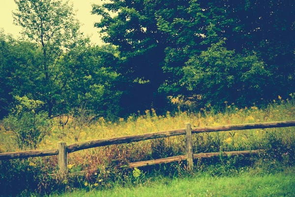 Trekking: Boundary Line by Olivia Joy StClaire