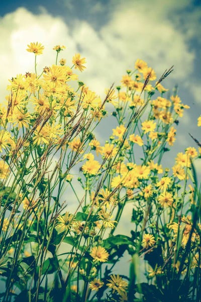 Gifts Inspired by Debut: Free Spirit by Olivia Joy StClaire