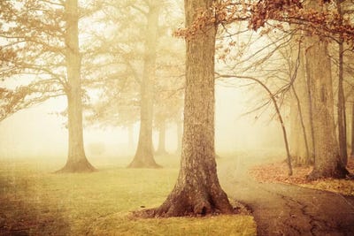 I Heard Whispering In The Woods by Olivia Joy StClaire multi panel art