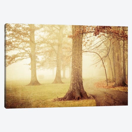 I Heard Whispering In The Woods Canvas Print #OJS62} by Olivia Joy StClaire Canvas Print