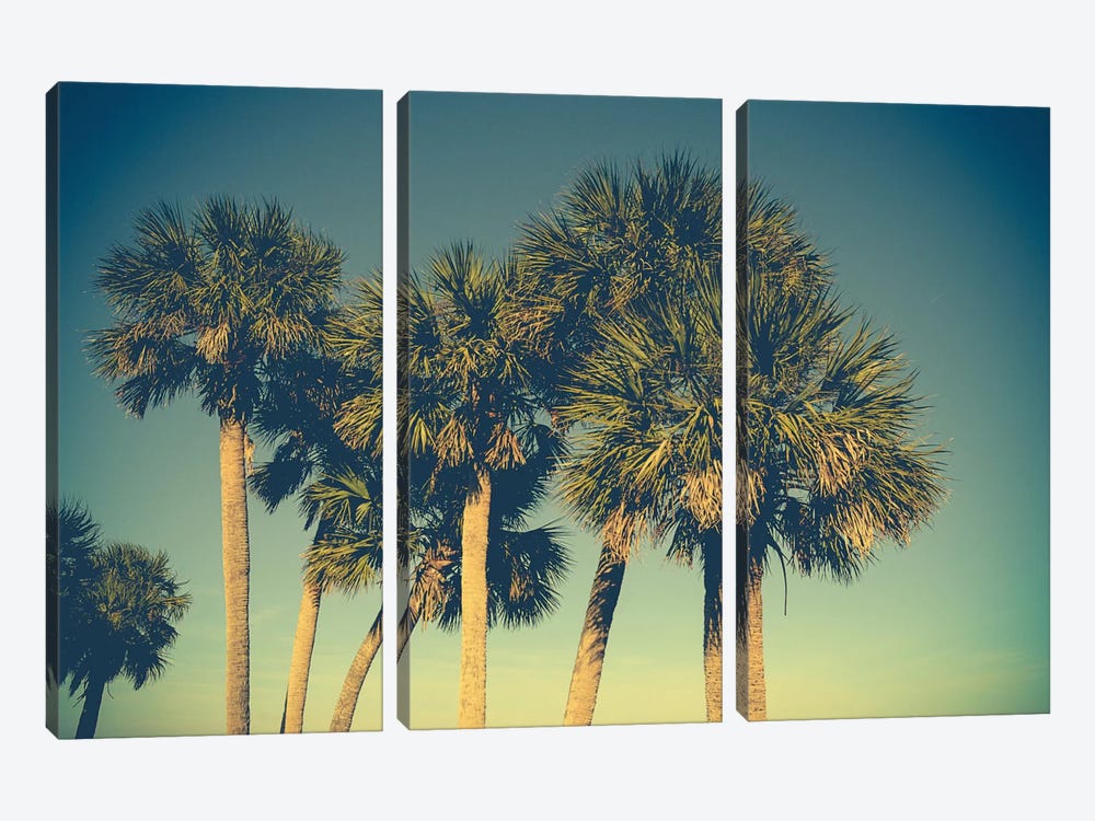 Palm Trees 3-piece Canvas Print