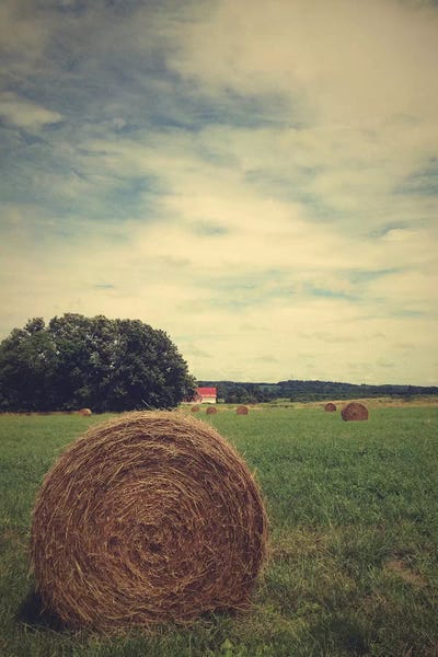 Farms: The Bale by Olivia Joy StClaire
