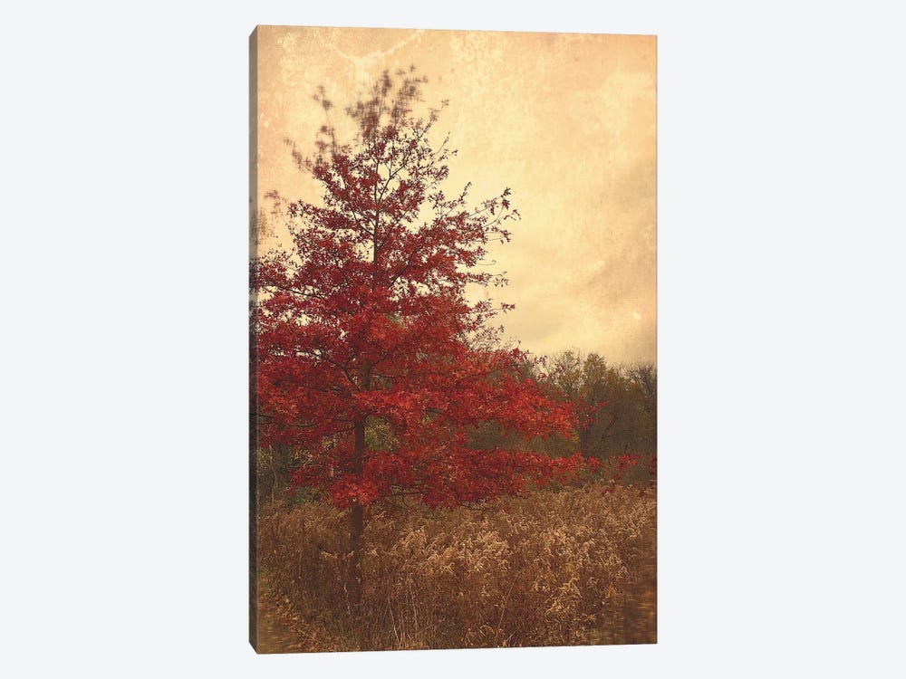 Red Oak by Olivia Joy StClaire 1-piece Art Print