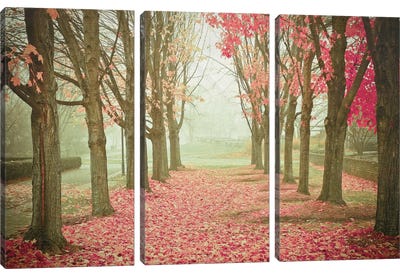 Scarlet Autumn Canvas Art Print - 3-Piece Tree Art