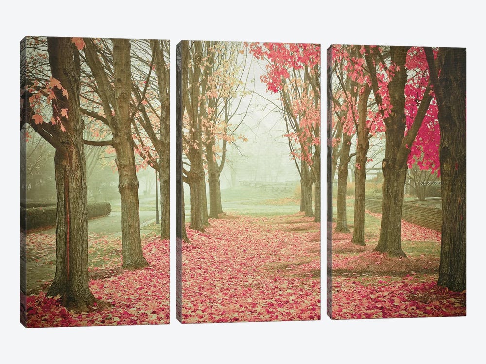 Scarlet Autumn by Olivia Joy StClaire 3-piece Canvas Print