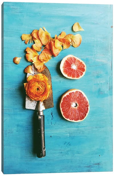 She Made Her Own Sunshine Canvas Art Print - Still Life Photography