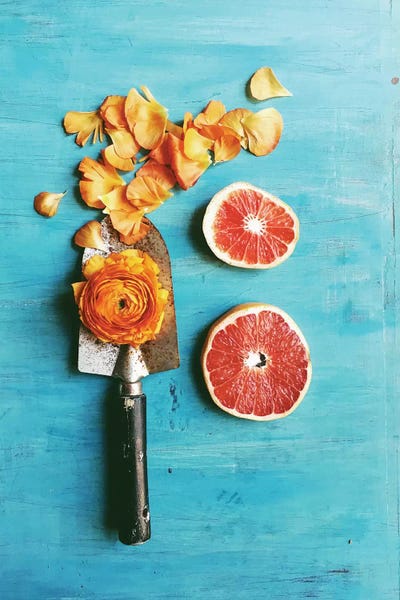 Still Life Photography: She Made Her Own Sunshine by Olivia Joy StClaire