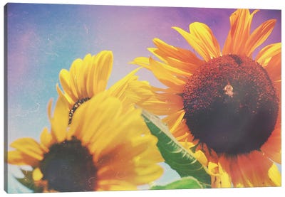 Summer Sunshine Day Canvas Art Print - Vintage Styled Photography