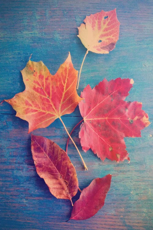 The Colors Of Autumn by Olivia Joy StClaire wall art