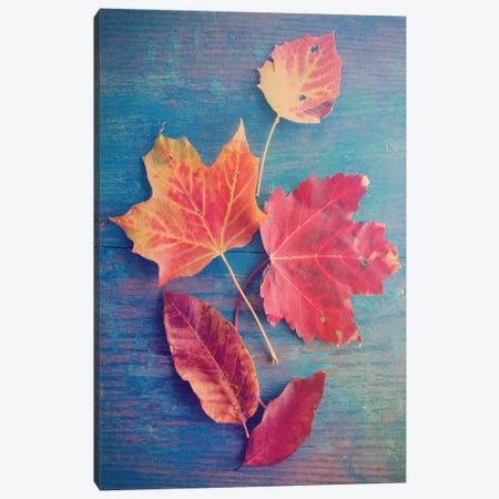 The Colors Of Autumn Canvas Print #OJS79} by Olivia Joy StClaire Canvas Artwork