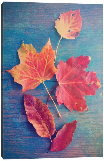 The Colors Of Autumn Canvas Art Print - Leaf Art