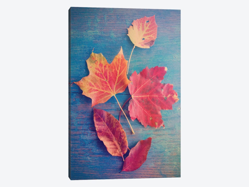 The Colors Of Autumn by Olivia Joy StClaire 1-piece Canvas Wall Art