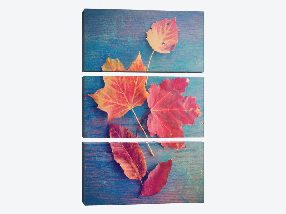 The Colors Of Autumn by Olivia Joy StClaire 3-piece Canvas Artwork