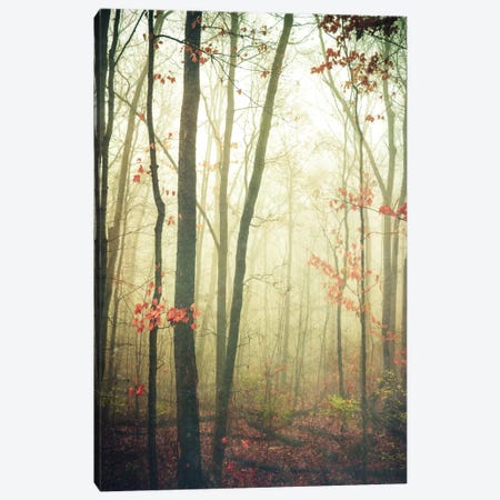 The Woods Are Lovely, Dark, And Deep Canvas Print #OJS81} by Olivia Joy StClaire Canvas Art Print